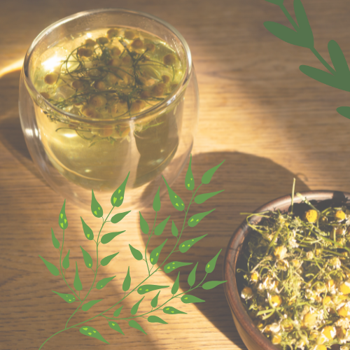 Rosemary Chamomile: Weight Balance, Naturally