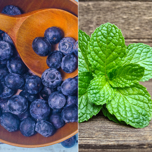 Blueberry Mint - Muscle Relaxation Made Easy